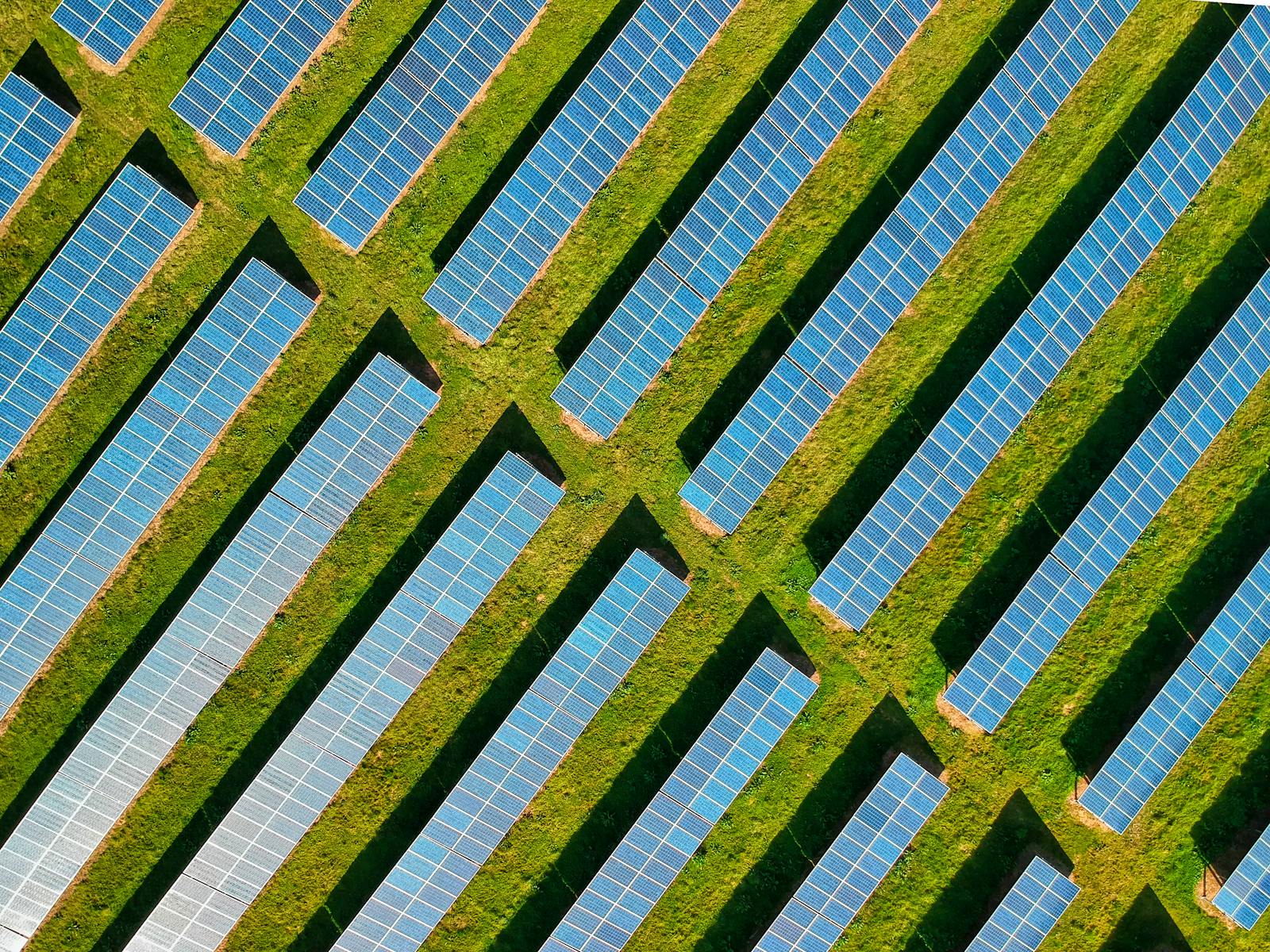 módulos solares